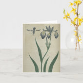 Carte Iris bleu (Fleur jaune)