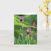 Carte Iris Bourgogne... (Fleur jaune)