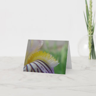Carte Iris Closeup