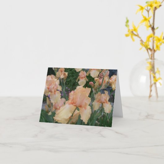 Carte Iris de pêche (Fleur jaune)