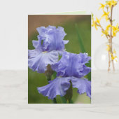 Carte Iris Délice (Fleur jaune)