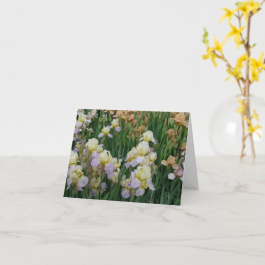 Carte Iris Enriched (Fleur jaune)