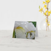 Carte Iris Florintina (Fleur jaune)