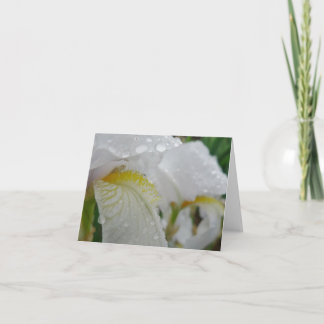 Carte Iris Florintina