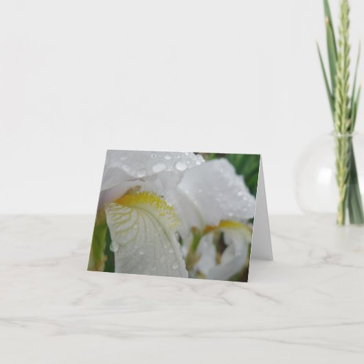 Carte Iris Florintina (Devant)