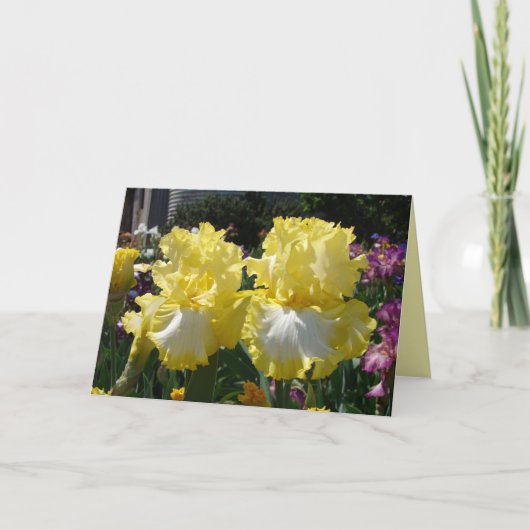 Carte Iris iris fleurs florales Fleur à harnais jaunes (Devant)