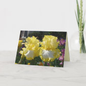Carte Iris iris fleurs florales Fleur à perches jaunes C (Dos)
