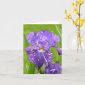 Carte Iris pourpre (Fleur jaune)