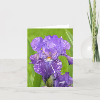 Carte Iris pourpre
