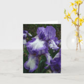 Carte Iris pourpre et blanc, anniversaire spécial (Fleur jaune)