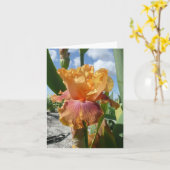 CARTE IRIS - ROCKET BOUTEILLE - Carte de note blan (Fleur jaune)