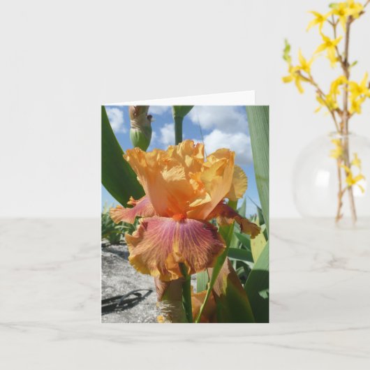 CARTE IRIS - ROCKET BOUTEILLE - Carte de note blan (Fleur jaune)