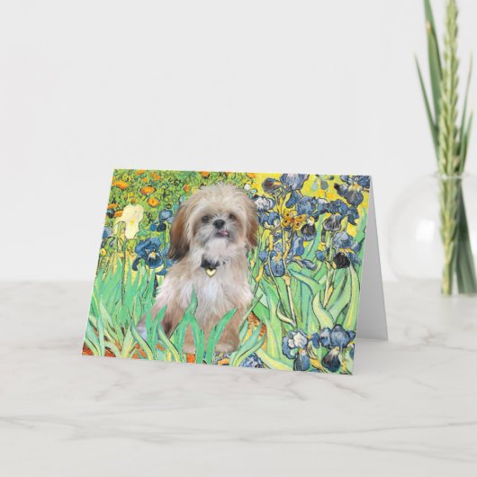 Carte Iris - Shih Tzu (P) (Devant)