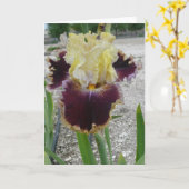 Carte Iris vierge - "BATAILLE DES BANDES" (Fleur jaune)