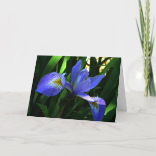 Carte Iris Violet