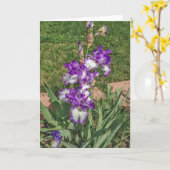 Carte Iris violet et blanc - Fête des mères, va bien (Fleur jaune)