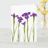 Carte Iris violets isolés sur un arrière - plan blanc (Fleur jaune)