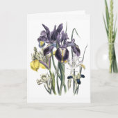 Carte Iris Watercolor Sympathy Card Updated (Devant)