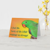 Carte Irish Kiss (Fleur jaune)