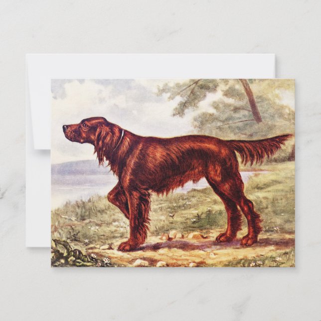 Carte Irish Setter 1900 (Devant)