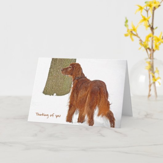 Carte Irish Setter dans la neige penser à vous (Fleur jaune)
