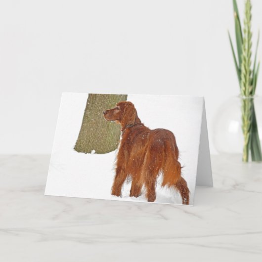 Carte Irish Setter hiver Anniversaire (Devant)