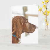 Carte Irish Setter pense à vous (Fleur jaune)