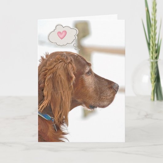 Carte Irish Setter vous pense (Devant)