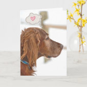 Carte Irish Setter vous pense (Fleur jaune)