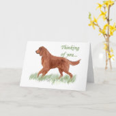 Carte Irish Settter Sympathy (Fleur jaune)