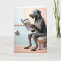 Irish Wolfhound Lire un journal