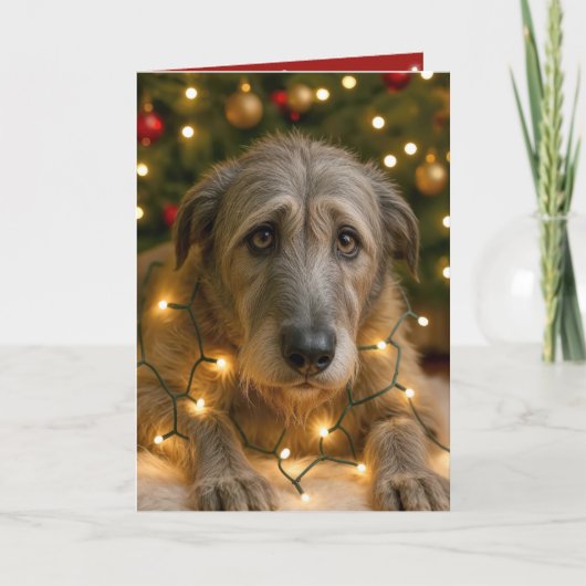 Carte Irish Wolfhound Tangled In Holiday Lights (Devant)