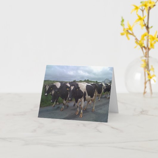 Carte Irlande (Fleur jaune)