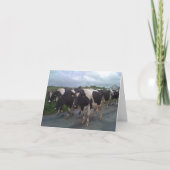 Carte Irlande (Devant)