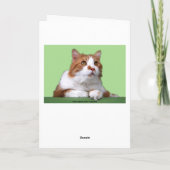 Carte Isabella Joyeux Anniversaire Orange et Chat Blanc (Dos)