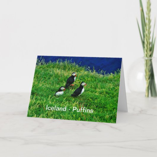Carte Islande - Puffins (Devant)