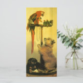 Carte Islay, Tilco, un Macaw et des Inséparables de Land (Debout devant)