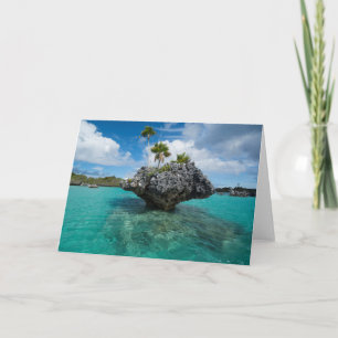 Carte Islet De Champignons Aux Fidji