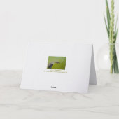 Carte It Was Love At First Sight /Happy Anniversary (Dos)