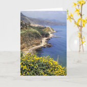 Carte Italie, Sicile. La côte nord de la Sicile en (Fleur jaune)