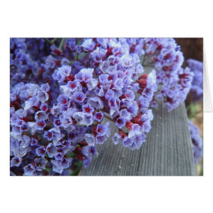 Carte Itty-Bitty pourpre