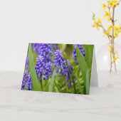 Carte Jacinthe de raisin (Fleur jaune)