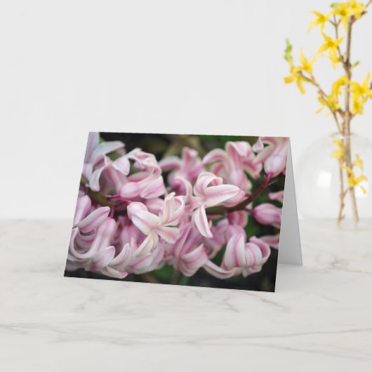 Carte Jacinthe rose parfumée odorante (Fleur jaune)