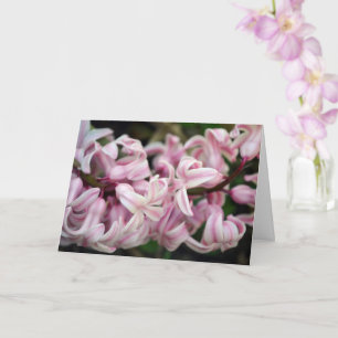 Carte Jacinthe rose parfumée odorante