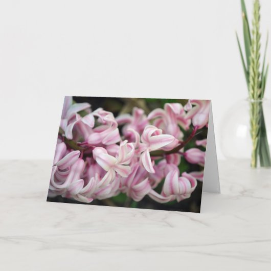 Carte Jacinthe rose parfumée odorante (Devant)