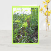 CARTE JACK DANS LA PULPTE II (Fleur jaune)