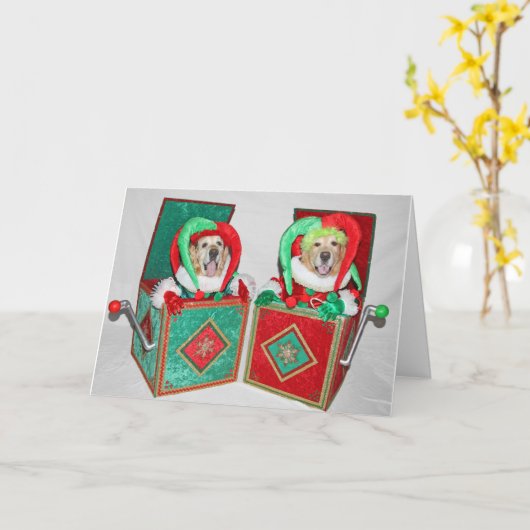 Carte Jack Rtriever en boîte Noël (Fleur jaune)