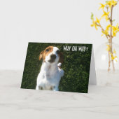 Carte JACK RUSSELL "40ème" ANNIVERSAIRE CONFUSÉ (Fleur jaune)