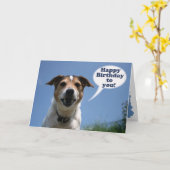 Carte Jack Russell dog Happy Birthday card (Fleur jaune)