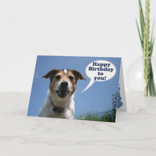 Carte Jack Russell dog Happy Birthday card